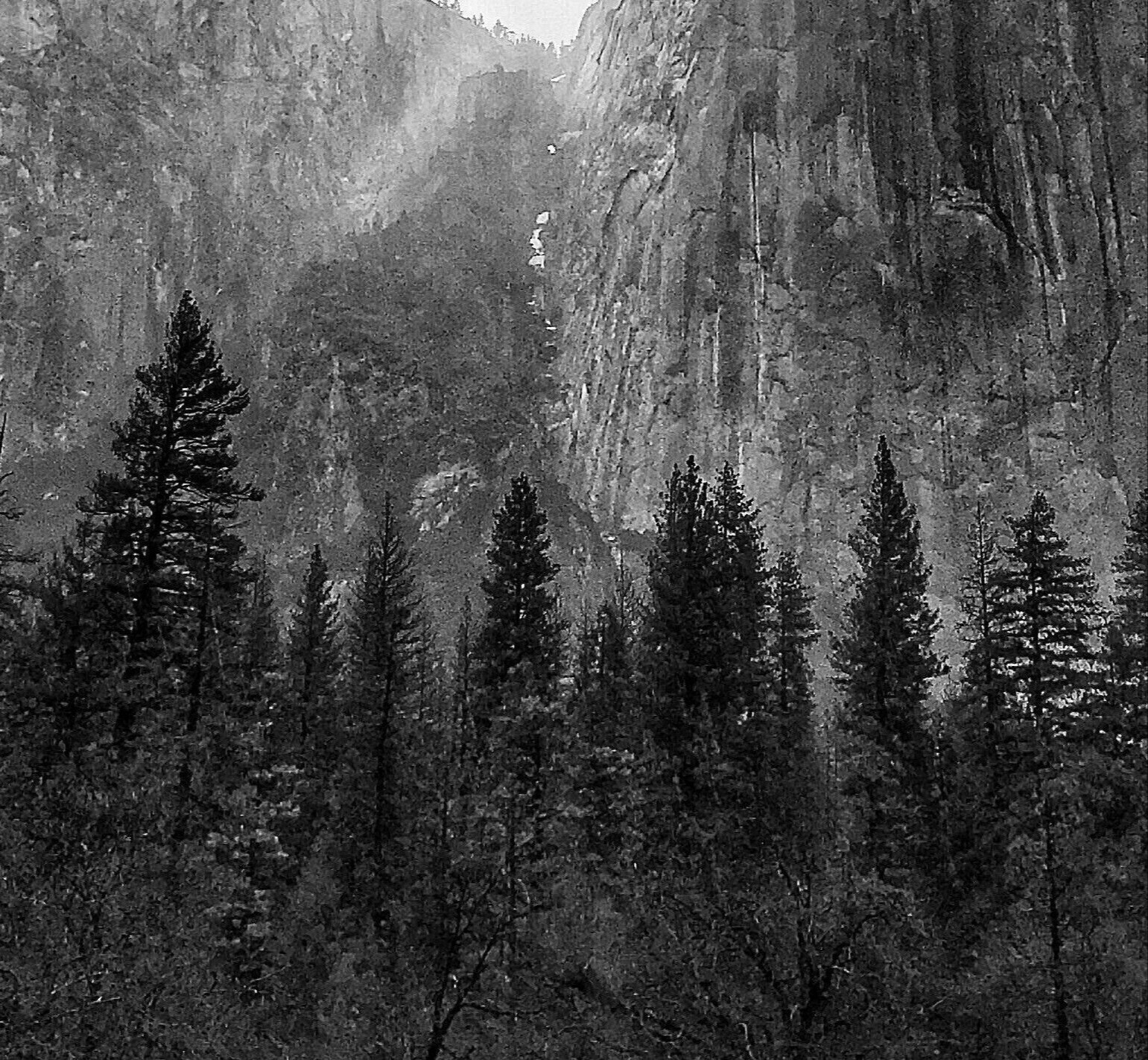 pexels-solik-573863-1-2-2